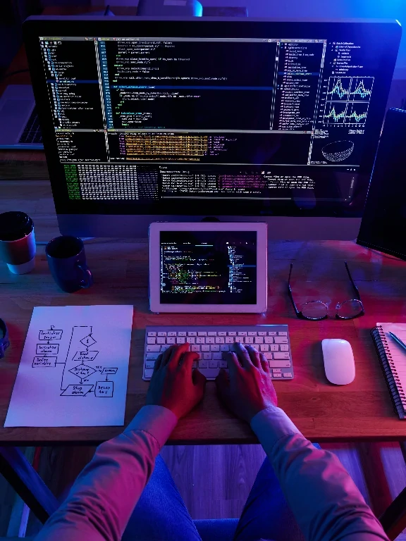 Secure Software Development Process